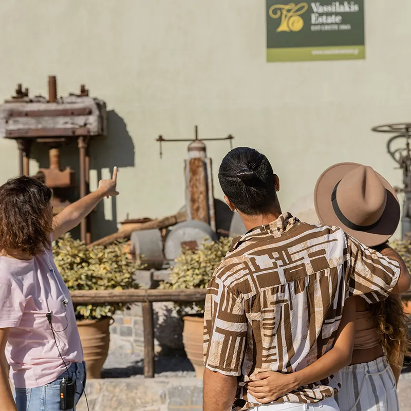 VASSILAKISESTATE-_0000s_0001_Friendly_Olive_Tour_1_resized.webp